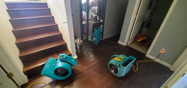 Best Water damage restoration near me  in Frazeysburg, OH