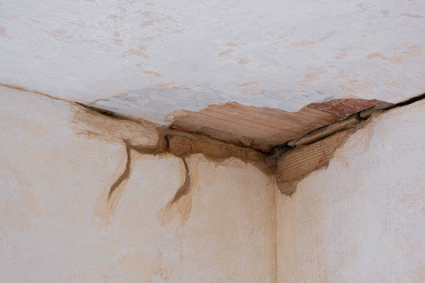 Best Flooded house restoration  in Frazeysburg, OH