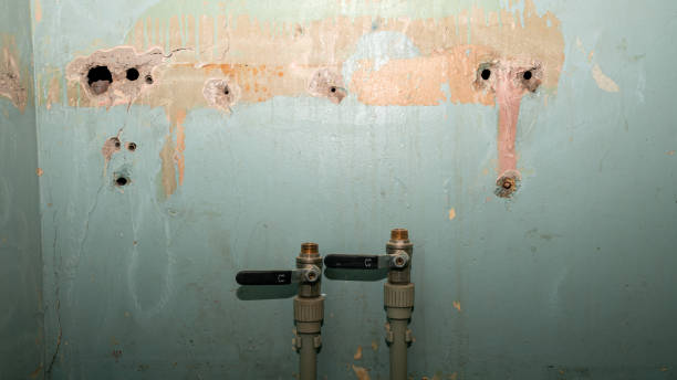 Best Residential water damage restoration  in Frazeysburg, OH