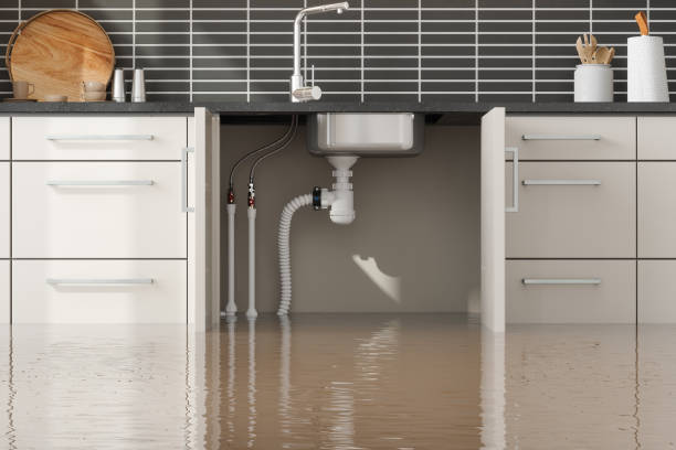 Best Sewage cleanup and water damage restoration  in Frazeysburg, OH